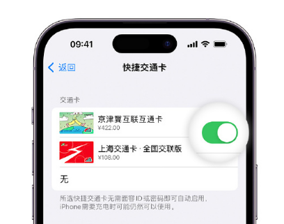 尼玛apple维修点分享iPhone上更换Apple Pay快捷交通卡手绘卡面 