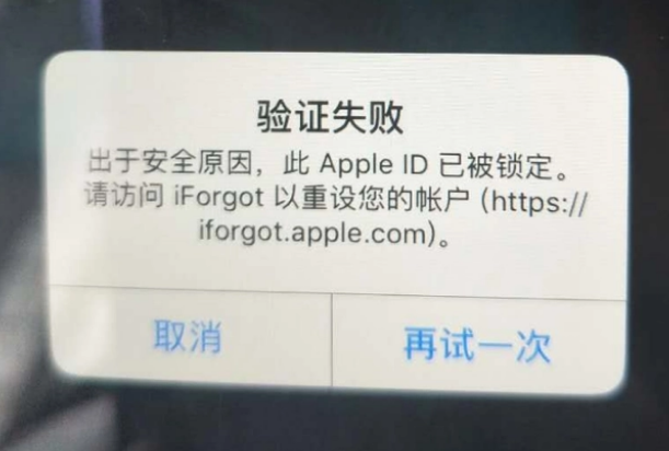 尼玛iPhone维修分享iPhone上正常登录或使用AppleID怎么办 