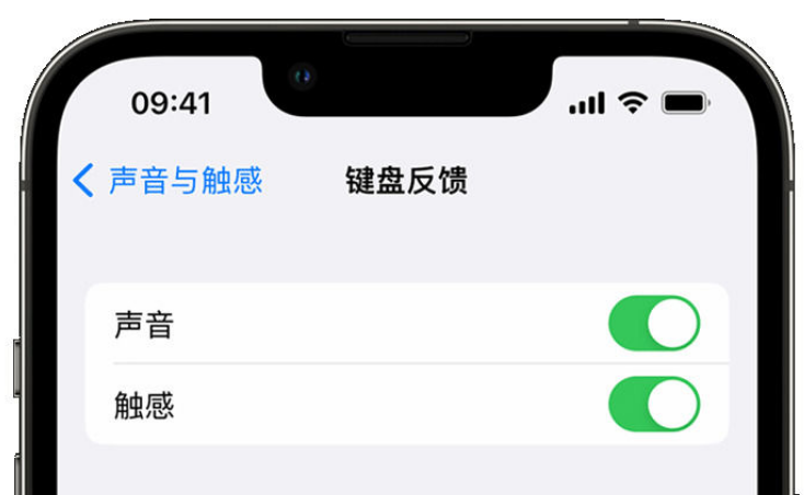 尼玛苹果手机维修分享iPhone 14触感键盘使用方法 