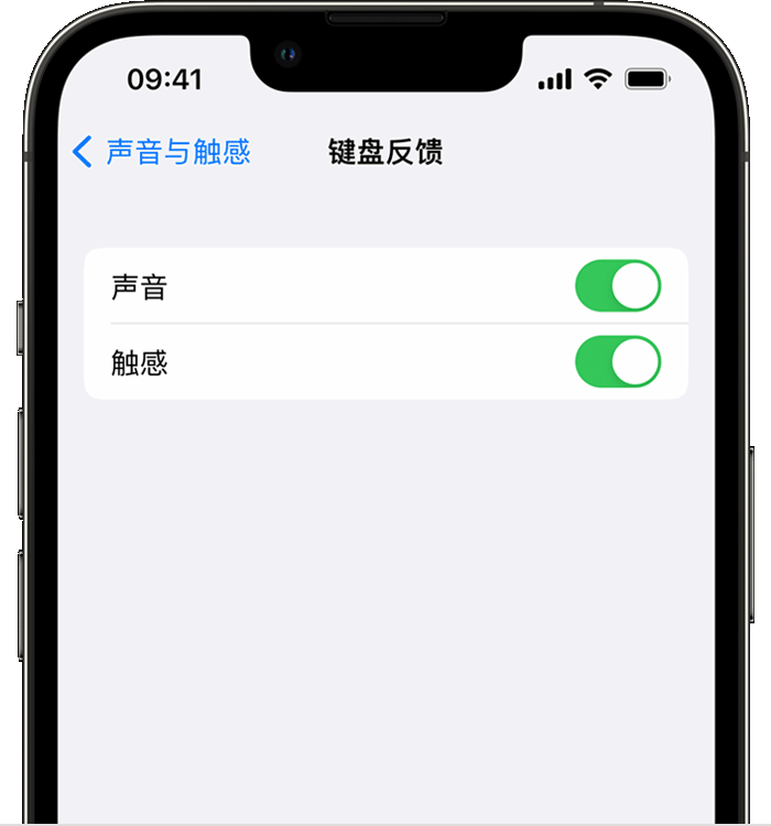 尼玛苹果14维修店分享如何在 iPhone 14 机型中使用触感键盘 