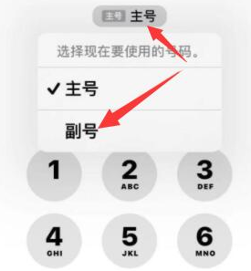 尼玛苹果14维修店分享iPhone 14 Pro Max使用副卡打电话的方法 