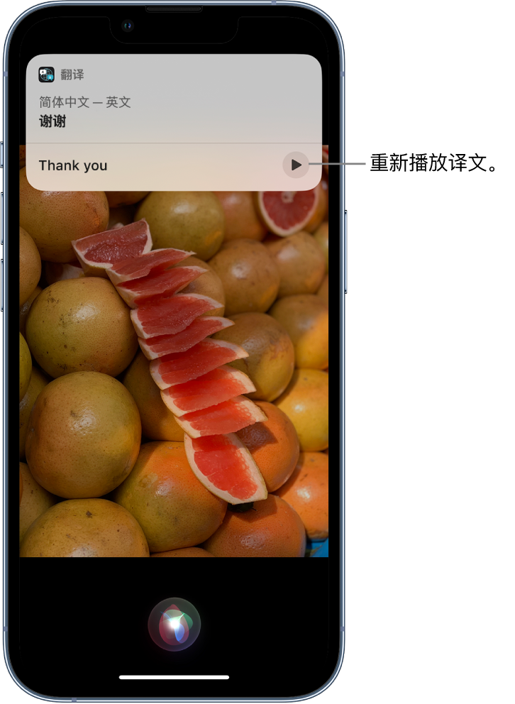 尼玛苹果14维修分享 iPhone 14 机型中使用 Siri：了解 Siri 能帮你做什么 