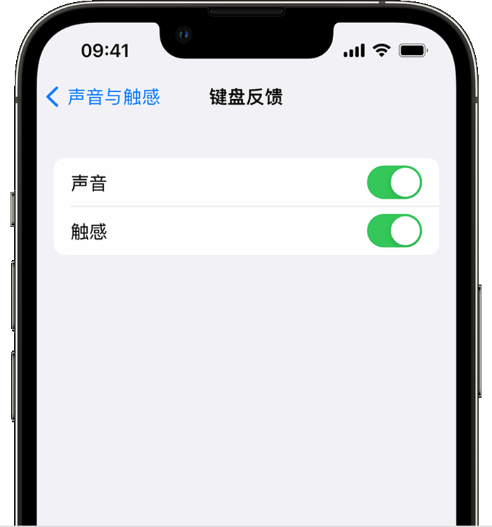 尼玛苹果14维修分享iPhone 14 系列机型如何开启键盘声音或触感反馈 
