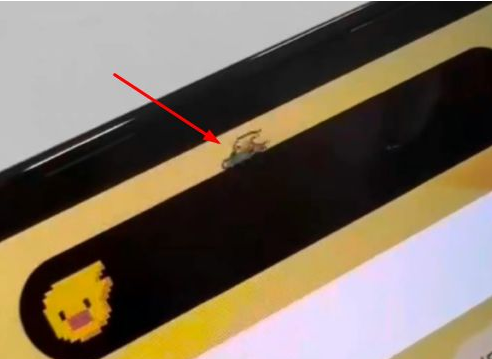 尼玛苹果14维修分享iPhone 14 Pro Max灵动岛怎么养宠物 