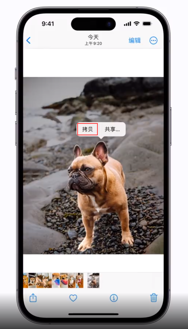 尼玛苹果手机维修分享 iOS 16 自带一键抠图功能 