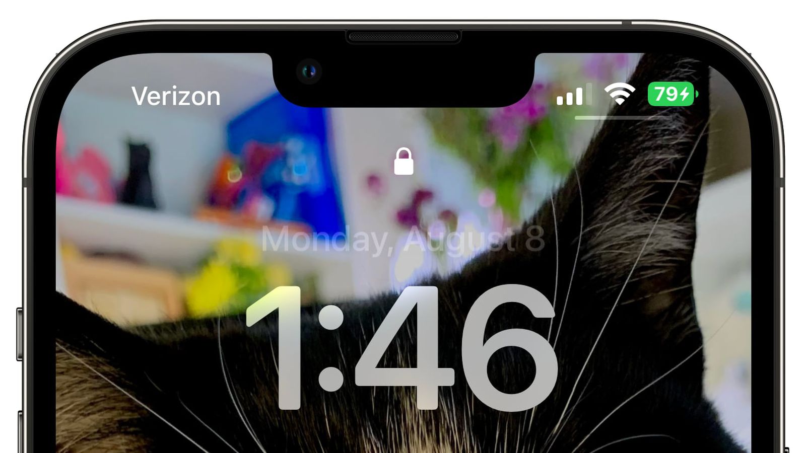 尼玛苹果手机维修分享iOS 16 beta 5 支持状态栏显示电池百分比，如何开启？支持哪些机型 