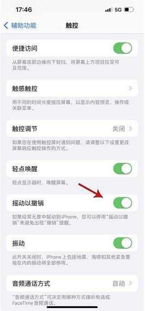 尼玛苹果手机维修分享iPhone手机如何设置摇一摇删除文字 