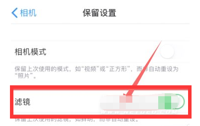 尼玛苹果13维修分享iPhone13拍照有绿点是怎么回事 