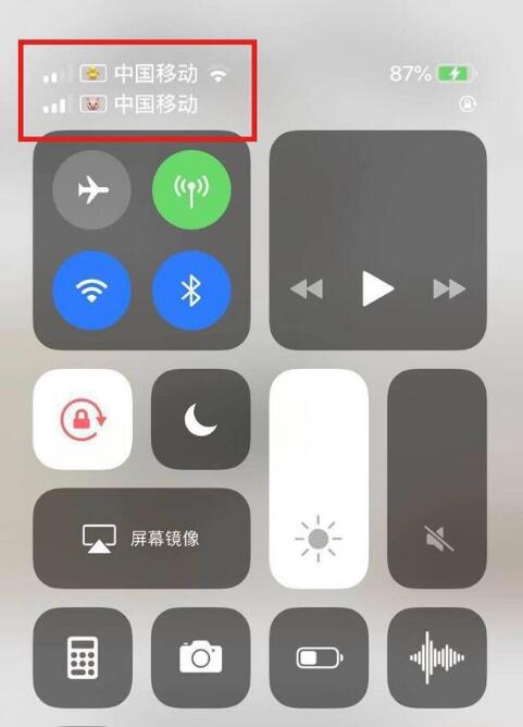 尼玛苹果手机维修分享为 iPhone 12 双卡设置标签 